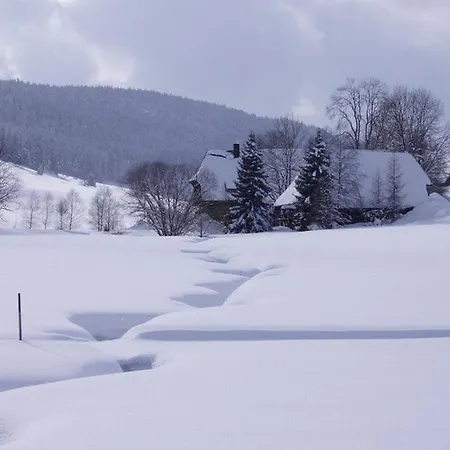 Luxurioese Schwarzwald Loft Heustock Mit Sauna Und Whirlpool Am Griesbachhof *
