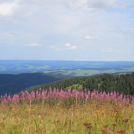 Luxurioese Schwarzwald Loft Heustock Mit Sauna Und Whirlpool Am Griesbachhof Titisee-Neustadt