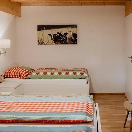 Luxurioese Schwarzwald Loft Heustock Mit Sauna Und Whirlpool Am Griesbachhof Apartman *