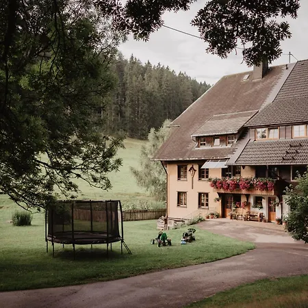 Luxuriöse Schwarzwald Loft Heustock Mit Sauna Und Whirlpool Am Griesbachhof Titisee-Neustadt