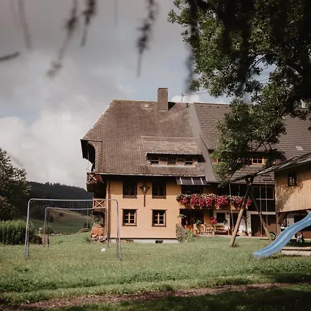 Luxurioese Schwarzwald Loft Heustock Mit Sauna Und Whirlpool Am Griesbachhof Titisee-Neustadt