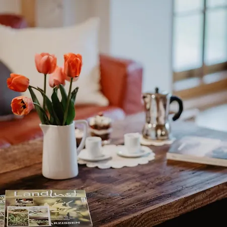 Luxuriöse Schwarzwald Loft Heustock Mit Sauna Und Whirlpool Am Griesbachhof Apartment *