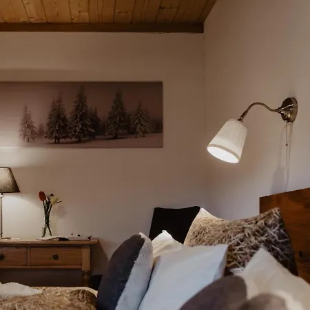Apartment Luxuriöse Schwarzwald Loft Heustock Mit Sauna Und Whirlpool Am Griesbachhof