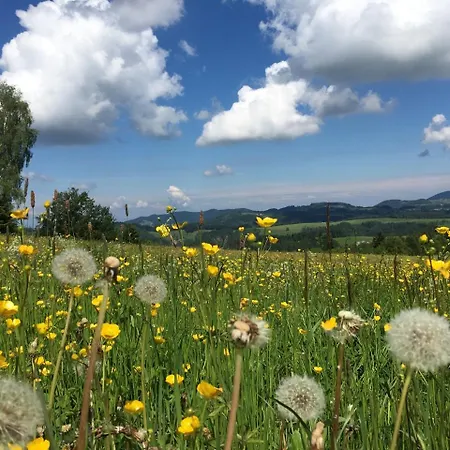 Apartment Luxuriöse Schwarzwald Loft Heustock Mit Sauna Und Whirlpool Am Griesbachhof