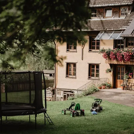 Luxuriöse Schwarzwald Loft Heustock Mit Sauna Und Whirlpool Am Griesbachhof Apartment
