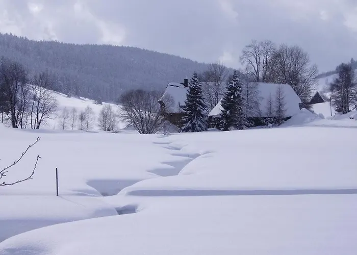 Luxurioese Schwarzwald Loft Heustock Mit Sauna Und Whirlpool Am Griesbachhof *