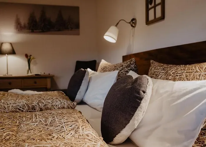 Appartement Luxurioese Schwarzwald Loft Heustock Mit Sauna Und Whirlpool Am Griesbachhof