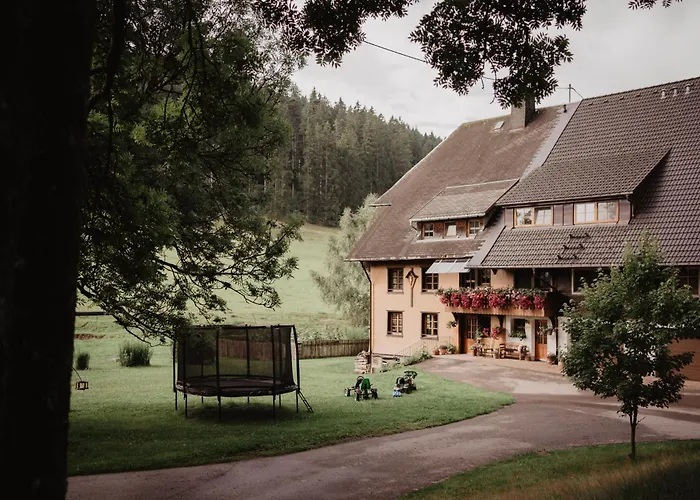 Luxurioese Schwarzwald Loft Heustock Mit Sauna Und Whirlpool Am Griesbachhof Titisee-Neustadt